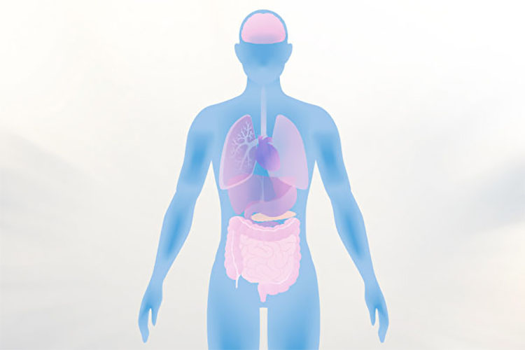 生理原因 生理原因