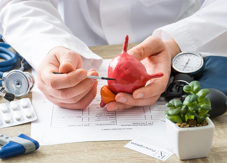 攝護腺肥大:定義、癥狀與影響 攝護腺肥大:定義、癥狀與影響