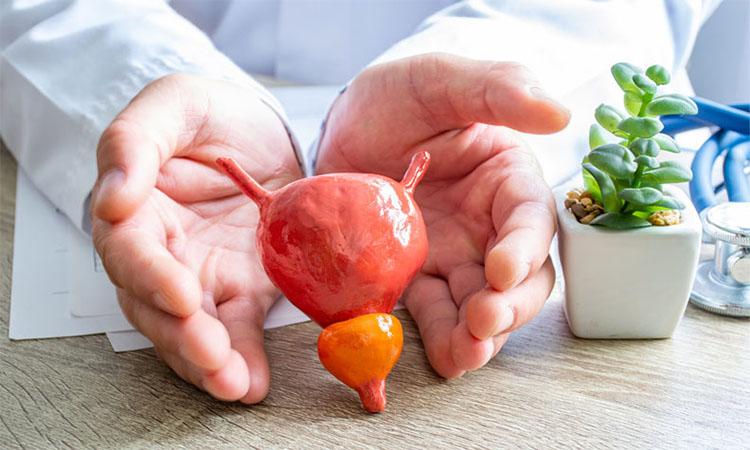 攝護腺肥大其他治療選項 攝護腺肥大其他治療選項